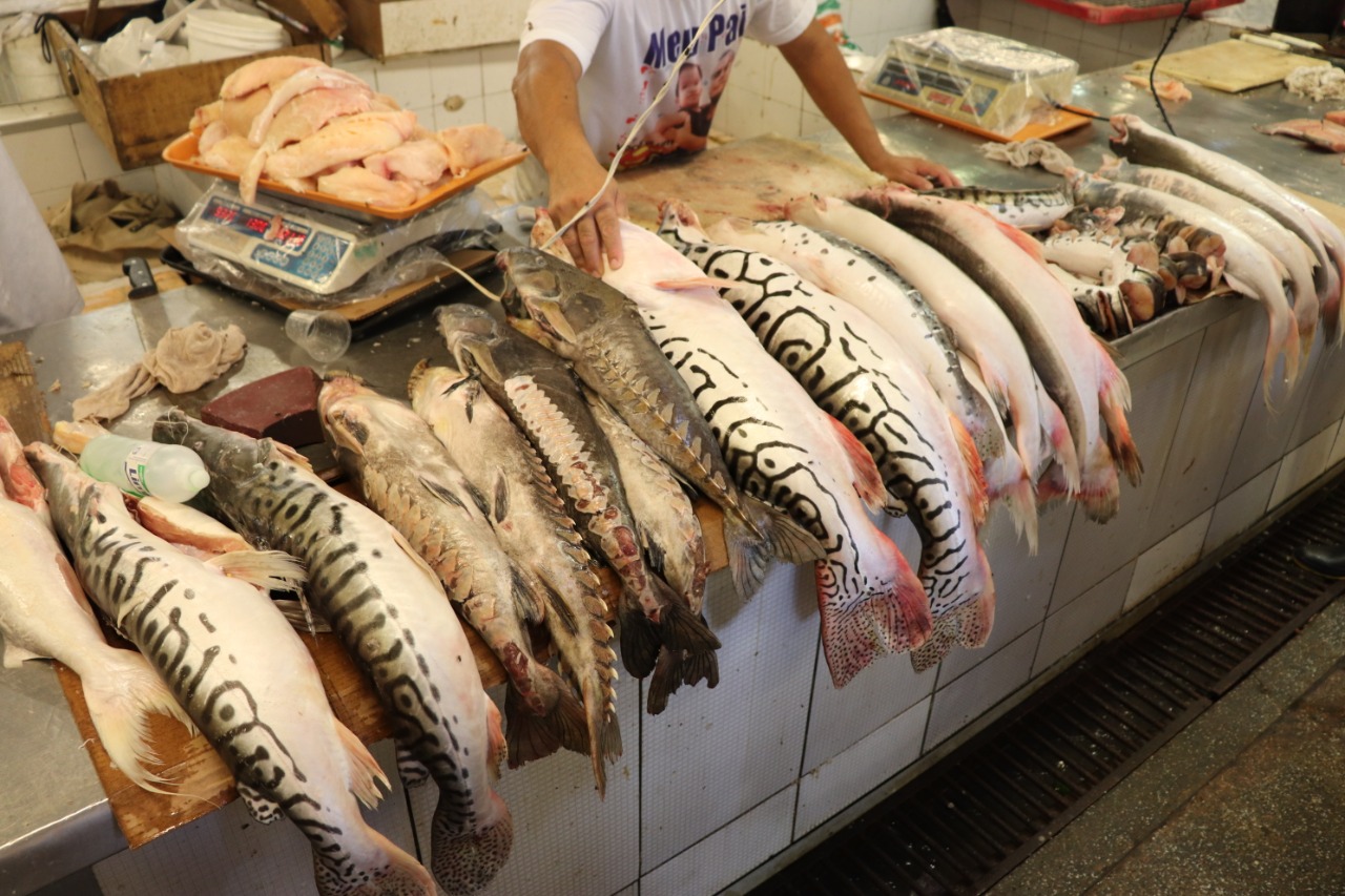 fische